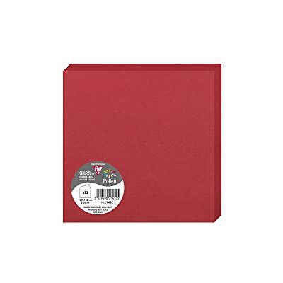 Clairefontaine 2126 C Pollen Pack de 25 Sobres dípticas 16 x 16 cm), color Rouge Groseille 16 x 16 x 0.10 Clairefontaine 2126 C Pollen Pack de 25 Sobres dípticas 16 x 16 cm), color Rouge Groseille 16 x 16 x 0.10