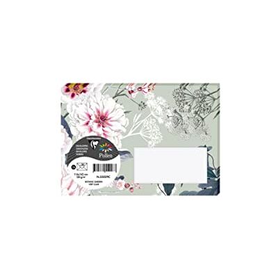 Clairefontaine – Paquete de 20 sobres impresos con borla, formato C6, 11,4 x 16,2 cm, 120 g, color verde claro, tema Botanic Garden – Invitación Eventos y Correspondencia – Gama Pollen Clairefontaine – Paquete de 20 sobres impresos con borla, formato C6, 11,4 x 16,2 cm, 120 g, color verde claro, tema Botanic Garden – Invitación Eventos y Correspondencia – Gama Pollen