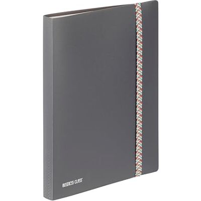 Viquel – Portavistas 120 vistas A4 Business Class – Protector de documentos de plástico resistente – 60 fundas – Ideal para oficina o hogar – Gris Viquel – Portavistas 120 vistas A4 Business Class – Protector de documentos de plástico resistente – 60 fundas – Ideal para oficina o hogar – Gris