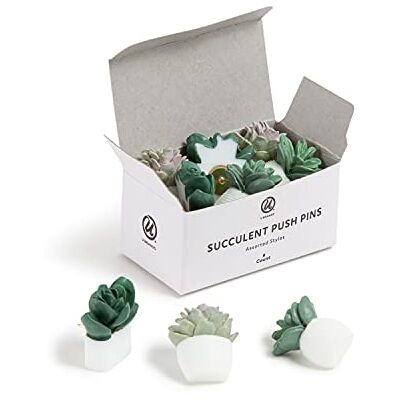 U Brands Chinchetas, Metal, Verde, 9 Unidades U Brands Chinchetas, Metal, Verde, 9 Unidades