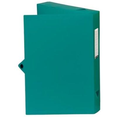 Viquel Caja de índice de polipropileno, lomo de 60 mm, color azul turquesa Viquel Caja de índice de polipropileno, lomo de 60 mm, color azul turquesa