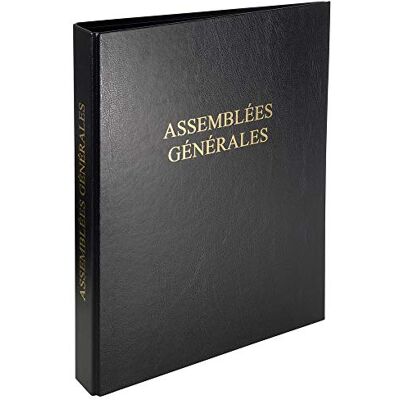 Exacompta Encuadernación registro ECONOMIQUE 32 x 26 cm 4 anillos – assemblees générales Exacompta Encuadernación registro ECONOMIQUE 32 x 26 cm 4 anillos – assemblees générales