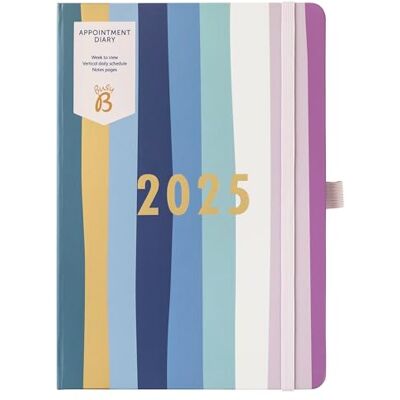 Busy B Agenda de citas Raya Agenda semanal con calendario diario, páginas de notas y planificador general y mensual Busy B Agenda de citas Raya Agenda semanal con calendario diario, páginas de notas y planificador general y mensual