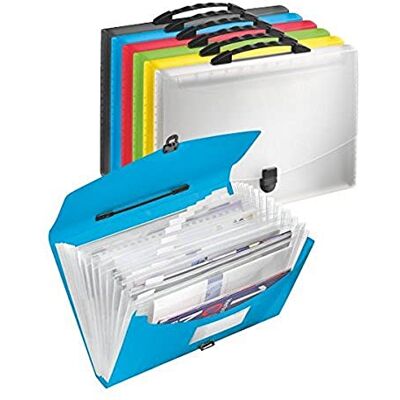 Esselte Carpeta acordeón con asa VIVIDA con 13 separadores colores surtidos (pack 6 ud) Esselte Carpeta acordeón con asa VIVIDA con 13 separadores colores surtidos (pack 6 ud)
