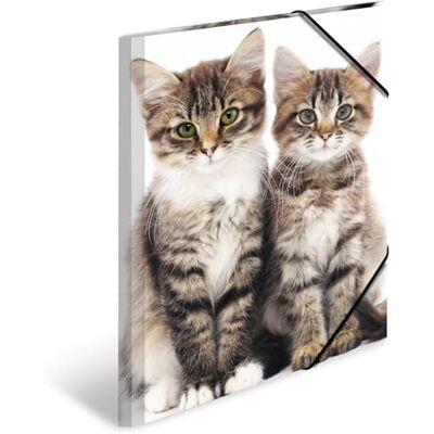 HERMA Carpeta de dibujo Animales con motivo Gatos, A3, plástico resistente, con impresión interior, carpeta de 1 palmo HERMA Carpeta de dibujo Animales con motivo Gatos, A3, plástico resistente, con impresión interior, carpeta de 1 palmo