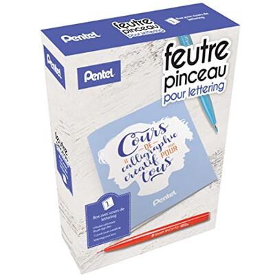Pentel Arts Kit Lettering con 4 rotuladores Brush Sign Pen SES15C Negro, Rojo, Azul cielo y Violeta + 1 libro de texto para todos Pentel Arts Kit Lettering con 4 rotuladores Brush Sign Pen SES15C Negro, Rojo, Azul cielo y Violeta + 1 libro de texto para todos