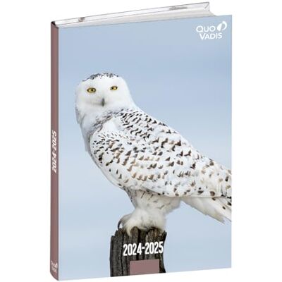 QUO VADIS Agenda escolar Eurotext multilingüe año 2024-2025 Visual Búho Formato 12 x 17 cm Diaria 12 meses Agosto-Julio Papel Blanco Tapa de cartón Amigos de 4 patas QUO VADIS Agenda escolar Eurotext multilingüe año 2024-2025 Visual Búho Formato 12 x 17 cm Diaria 12 meses Agosto-Julio Papel Blanco Tapa de cartón Amigos de 4 patas