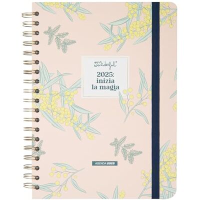 Mr. Wonderful Agenda Office 2025 Semanal Grande – Comienza la magia – Incluye 8 hojas de pegatinas y bloques de notas adhesivas con diferentes formas Mr. Wonderful Agenda Office 2025 Semanal Grande – Comienza la magia – Incluye 8 hojas de pegatinas y bloques de notas adhesivas con diferentes formas