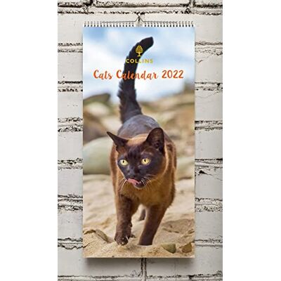 Collins Calendario de pared Wiro Cat 2022-390x180mm Collins Calendario de pared Wiro Cat 2022-390x180mm