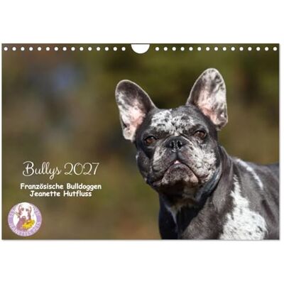CALVENDO Bullys Bouledogues français 2027 (Calendrier mural 2027 DIN A4 vertical), Calendrier Mensuel CALVENDO Bullys Bouledogues français 2027 (Calendrier mural 2027 DIN A4 vertical), Calendrier Mensuel