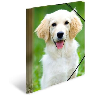 HERMA 7138 Carpeta de dibujo Animales con motivo Canino, A4, plástico resistente, con impresión interior, carpeta de 1 palmo HERMA 7138 Carpeta de dibujo Animales con motivo Canino, A4, plástico resistente, con impresión interior, carpeta de 1 palmo