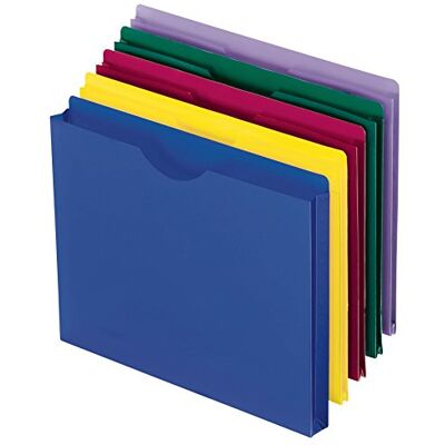 Esselte Pendaflex Fundas translúcidas de polietileno, tamaño carta, colores surtidos, 10 por paquete (50990) Esselte Pendaflex Fundas translúcidas de polietileno, tamaño carta, colores surtidos, 10 por paquete (50990)
