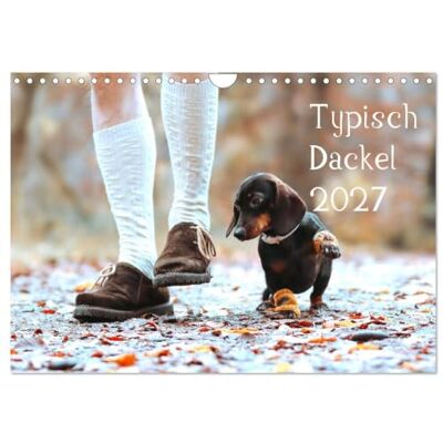 CALVENDO Típica perro salchicha 2027 (calendario de pared 2027, DIN A4), 12 meses Wall Calendar CALVENDO Típica perro salchicha 2027 (calendario de pared 2027, DIN A4), 12 meses Wall Calendar