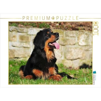 CALVENDO Starick Sigrid Puzzle (1000 Piezas, 64 x 48 cm), diseño de Perrito Hovawart CALVENDO Starick Sigrid Puzzle (1000 Piezas, 64 x 48 cm), diseño de Perrito Hovawart