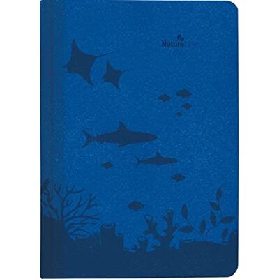 Alpha Calendario de libro Nature Line Ocean 2023 – Agenda de bolsillo A5 – 1 día 1 página – 416 páginas – calendario medioambiental – con tapa dura – Alpha Calendario de libro Nature Line Ocean 2023 – Agenda de bolsillo A5 – 1 día 1 página – 416 páginas – calendario medioambiental – con tapa dura –