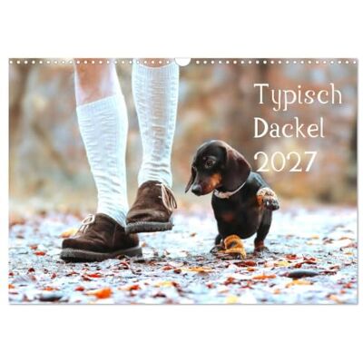 CALVENDO Típica perro salchicha 2027 (calendario de pared 2027, DIN A3), 12 meses Wall Calendar CALVENDO Típica perro salchicha 2027 (calendario de pared 2027, DIN A3), 12 meses Wall Calendar