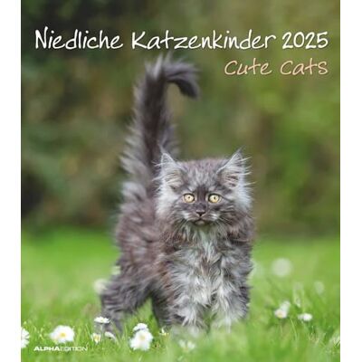 Alpha Lindos niños felinos 2025 calendario de imágenes, 30 x 34 cm, calendario con bonitos motivos de niños de gatos, fases de la luna, semanas calendario, días festivos DE/AT/CH, calendario Alpha Lindos niños felinos 2025 calendario de imágenes, 30 x 34 cm, calendario con bonitos motivos de niños de gatos, fases de la luna, semanas calendario, días festivos DE/AT/CH, calendario