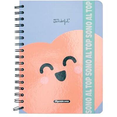 Mr. Wonderful Agenda Wonder 2025 semanal – Están al top – Incluye 8 hojas de pegatinas y bloques de notas adhesivas con diferentes formas Mr. Wonderful Agenda Wonder 2025 semanal – Están al top – Incluye 8 hojas de pegatinas y bloques de notas adhesivas con diferentes formas