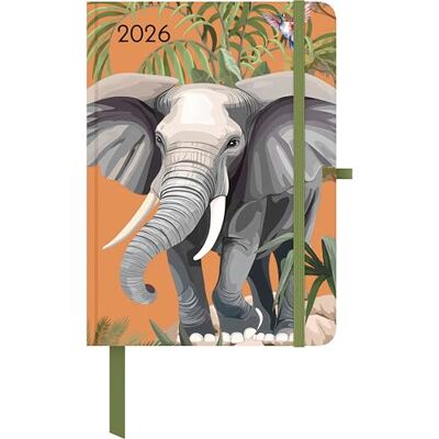 Greenline Jungle 2026 – Agenda de bolsillo 16 x 22 cm, calendario sostenible con diseño exótico de selva, calendario en 4 idiomas y prácticos extras Greenline Jungle 2026 – Agenda de bolsillo 16 x 22 cm, calendario sostenible con diseño exótico de selva, calendario en 4 idiomas y prácticos extras
