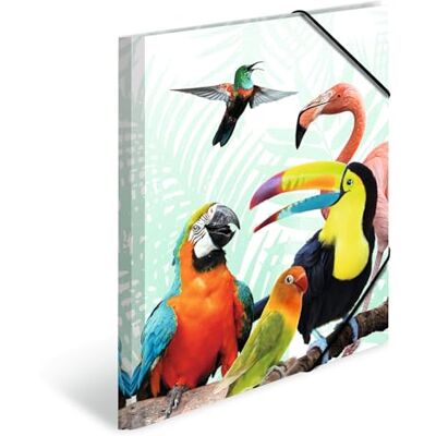 HERMA Carpetas A4 Animales Exóticos Tropenclique, 3 unidades, carpeta de esquina de plástico para niños con impresión interior y banda elástica, juego de carpetas de plástico resistente para HERMA Carpetas A4 Animales Exóticos Tropenclique, 3 unidades, carpeta de esquina de plástico para niños con impresión interior y banda elástica, juego de carpetas de plástico resistente para