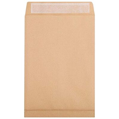 Clairefontaine Caja de 250 bolsas de papel kraft marrón E4-280x400 mm con fuelle de 30 mm Autoadhesivas 120 g/m² Clairefontaine Caja de 250 bolsas de papel kraft marrón E4-280x400 mm con fuelle de 30 mm Autoadhesivas 120 g/m²