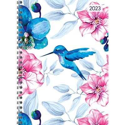 Ladytimer Carpeta de anillas Hummingbird 2023, calendario de bolsillo, A5 (15 x 21 cm), calendario escolar, semanal, encuadernación con anillas, 128 páginas, edición Alpha Ladytimer Carpeta de anillas Hummingbird 2023, calendario de bolsillo, A5 (15 x 21 cm), calendario escolar, semanal, encuadernación con anillas, 128 páginas, edición Alpha