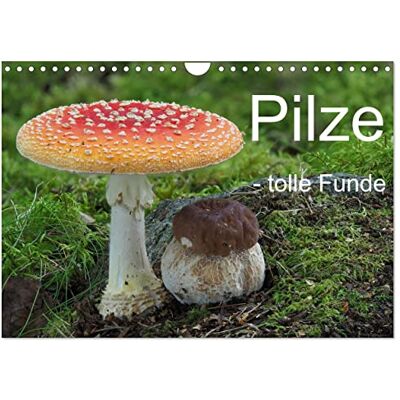 CALVENDO Champiñones – de superbes trouvailles (Calendrier mural 2027 DIN A4 vertical), calendrier mensuel CALVENDO Champiñones – de superbes trouvailles (Calendrier mural 2027 DIN A4 vertical), calendrier mensuel