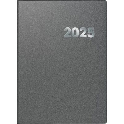 BRUNNEN Agenda de libro modelo 789 (2025), 1 página = 1 día, A4, 384 páginas, cubierta de plástico reflectante, gris BRUNNEN Agenda de libro modelo 789 (2025), 1 página = 1 día, A4, 384 páginas, cubierta de plástico reflectante, gris