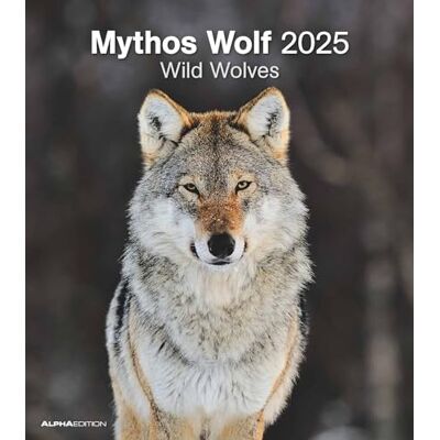 Alpha Calendario de fotos Mythos Wolf 2025, 30,x34 cm, calendario con múltiples imágenes del mundo de los lobos, fases lunares, días festivos DE/AT/CH y calendario internacional: Wild Wolves Alpha Calendario de fotos Mythos Wolf 2025, 30,x34 cm, calendario con múltiples imágenes del mundo de los lobos, fases lunares, días festivos DE/AT/CH y calendario internacional: Wild Wolves