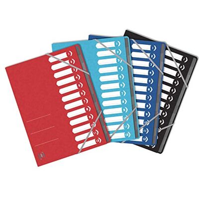 Oxford TopFile+ Archivador con 12 posiciones (A4, cierre elástico, cubierta multicapa, grapado, color aleatorio Oxford TopFile+ Archivador con 12 posiciones (A4, cierre elástico, cubierta multicapa, grapado, color aleatorio