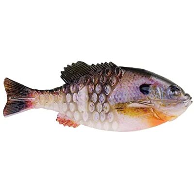 Berkley Powerbait Gilly Cebo Suave de Pesca, HD Bluegill, 110 mm Berkley Powerbait Gilly Cebo Suave de Pesca, HD Bluegill, 110 mm