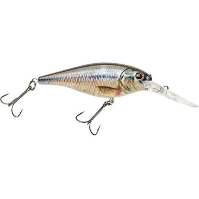 Berkley Flicker Shad Señuelo de Pesca, pececillo de Cabeza de Cabeza HD, 5/16 onzas, 2 3/4 Pulgadas, cebos de 7 cm, tamaño, Perfil y Profundidad de Buceo imita el sábalo Real, Equipado con Gancho Berkley Flicker Shad Señuelo de Pesca, pececillo de Cabeza de Cabeza HD, 5/16 onzas, 2 3/4 Pulgadas, cebos de 7 cm, tamaño, Perfil y Profundidad de Buceo imita el sábalo Real, Equipado con Gancho