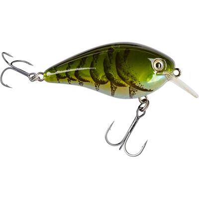 Strike King KVD 1.5 Hard Knock Squarebill Crankbait Strike King KVD 1.5 Hard Knock Squarebill Crankbait