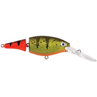 Berkley Flicker Shad Señuelo de Pesca articulado, Perca Caliente Firetail de 1/5 onzas, 5 cm, tamaño, Perfil y Profundidad de Buceo imitan a sábalo Real, Equipado con Gancho Fusion19 Berkley Flicker Shad Señuelo de Pesca articulado, Perca Caliente Firetail de 1/5 onzas, 5 cm, tamaño, Perfil y Profundidad de Buceo imitan a sábalo Real, Equipado con Gancho Fusion19