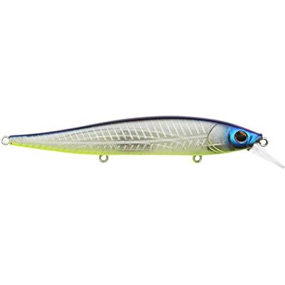 Berkley Stunna Fishing Señuelo Duro Shad Filet, 112 mm – 1/2 oz Berkley Stunna Fishing Señuelo Duro Shad Filet, 112 mm – 1/2 oz