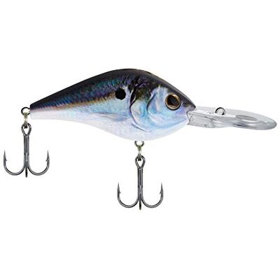 Berkley Señuelo de pesca Dredger, sábalo de aleta de rosca HD, 1/2 oz, 2 1/4 pulgadas Cebos de 6 cm, apretado, acción sutil, ideal para peces de aguas profundas, equipado con gancho Fusion19 afilado Berkley Señuelo de pesca Dredger, sábalo de aleta de rosca HD, 1/2 oz, 2 1/4 pulgadas Cebos de 6 cm, apretado, acción sutil, ideal para peces de aguas profundas, equipado con gancho Fusion19 afilado