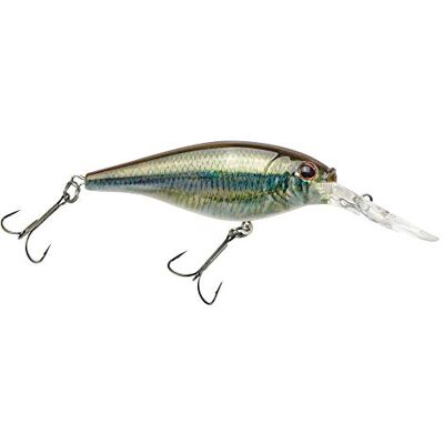 Berkley Flicker Shad Señuelo de Pesca, Brillo Esmeralda HD, 5/16 onzas, 2 3/4 Pulgadas Crankbaits, tamaño, Perfil y Profundidad de Buceo imita el sábalo Real, Equipado con Gancho Fusion19 Berkley Flicker Shad Señuelo de Pesca, Brillo Esmeralda HD, 5/16 onzas, 2 3/4 Pulgadas Crankbaits, tamaño, Perfil y Profundidad de Buceo imita el sábalo Real, Equipado con Gancho Fusion19