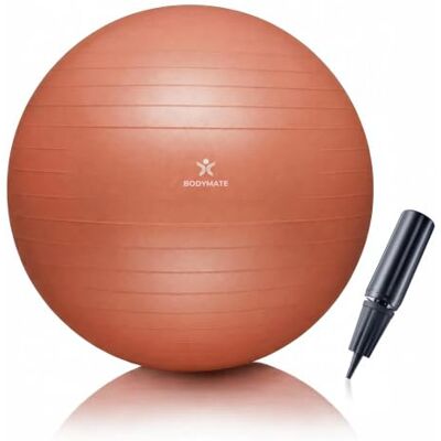 BODYMATE Pelota de Ejercicio para Fitnes con Sistema antirreventones con bombín Bola de Yoga Pilates y Ejercicio Balón para Sentarse Balon de Ejercicio para Fitness BODYMATE Pelota de Ejercicio para Fitnes con Sistema antirreventones con bombín Bola de Yoga Pilates y Ejercicio Balón para Sentarse Balon de Ejercicio para Fitness