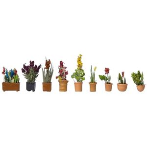 NOCH Plantas Decorativas en tiestos () NOCH Plantas Decorativas en tiestos ()