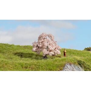 NOCH ® Árbol de Cerezo Natural de 6 cm para Ancho de vía H0, TT, N, Z, Ideal para dioramas y maquetas Militares NOCH ® Árbol de Cerezo Natural de 6 cm para Ancho de vía H0, TT, N, Z, Ideal para dioramas y maquetas Militares