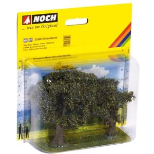 NOCH Olivos NOCH Olivos