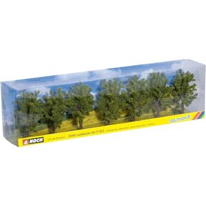 NOCH Árboles de Hoja caduca NOCH Árboles de Hoja caduca