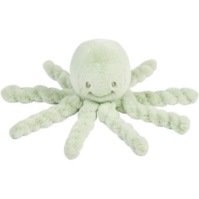 Nattou Lapidou Doudou Pulpo Peluche – Manta de Apego Bebé – Juguete Sensorial – Idea Regalo – 22 cm – Verde Tilo Nattou Lapidou Doudou Pulpo Peluche – Manta de Apego Bebé – Juguete Sensorial – Idea Regalo – 22 cm – Verde Tilo