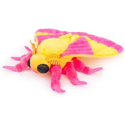 Tiny Heart Animal de Peluche de Polilla del Arce Rosado 27cm/11 Juguete de Polilla Realista Animal Insecto Encantador Suaves Felpa para niños y niñas Juguetes de Polilla Rosa Tiny Heart Animal de Peluche de Polilla del Arce Rosado 27cm/11 Juguete de Polilla Realista Animal Insecto Encantador Suaves Felpa para niños y niñas Juguetes de Polilla Rosa