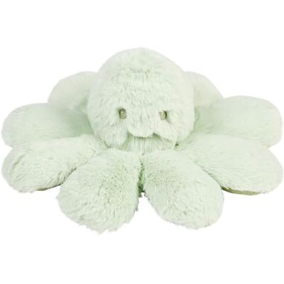 Nattou Lapidou Doudou Pulpo con Sonajero – Juguete Sensorial Bebé – Desarrollo Infantil – 25 cm – Verde Tilo Nattou Lapidou Doudou Pulpo con Sonajero – Juguete Sensorial Bebé – Desarrollo Infantil – 25 cm – Verde Tilo