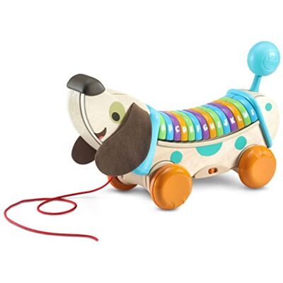 VTech - Eco Perrito Infantil Paseos, Descubre Letras y Canciones, Juguete de Arrastre para bebés +12 Meses, versión española, Multicolor, único () VTech - Eco Perrito Infantil Paseos, Descubre Letras y Canciones, Juguete de Arrastre para bebés +12 Meses, versión española, Multicolor, único ()