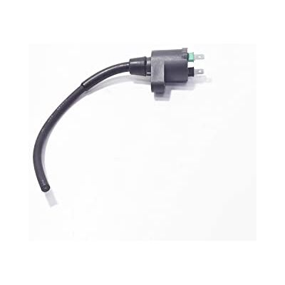 Piaggio Bobina De Encendido Aprilia Derbi Gilera Vespa Piaggio Bobina De Encendido Aprilia Derbi Gilera Vespa