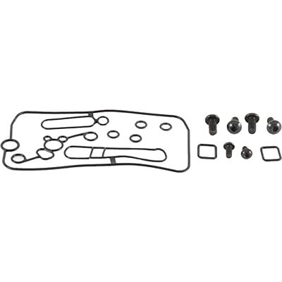 All Balls Kit de carburador para Honda CRF 250 R 04-06, TRX 450 R 06-07, TRX 450 ER 06-14, CRF 450 X 05-06, CRF 450 R 02-06, CRF 250 X 04-07 All Balls Kit de carburador para Honda CRF 250 R 04-06, TRX 450 R 06-07, TRX 450 ER 06-14, CRF 450 X 05-06, CRF 450 R 02-06, CRF 250 X 04-07