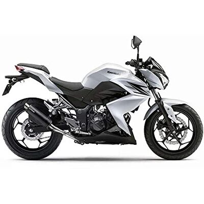 LeoVince GP CORSA MATTE KAWASAKI NINJA 250/300 R i.e./Z 250/300 i.e. CAR LeoVince GP CORSA MATTE KAWASAKI NINJA 250/300 R i.e./Z 250/300 i.e. CAR