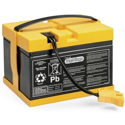 Peg Perego PEG Batería 24V/12Ah Repuesto Original Recargable para Vehículos Eléctricos Peg Perego PEG Batería 24V/12Ah Repuesto Original Recargable para Vehículos Eléctricos